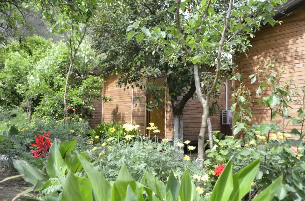 Mercan Pension Olympos Exterior foto