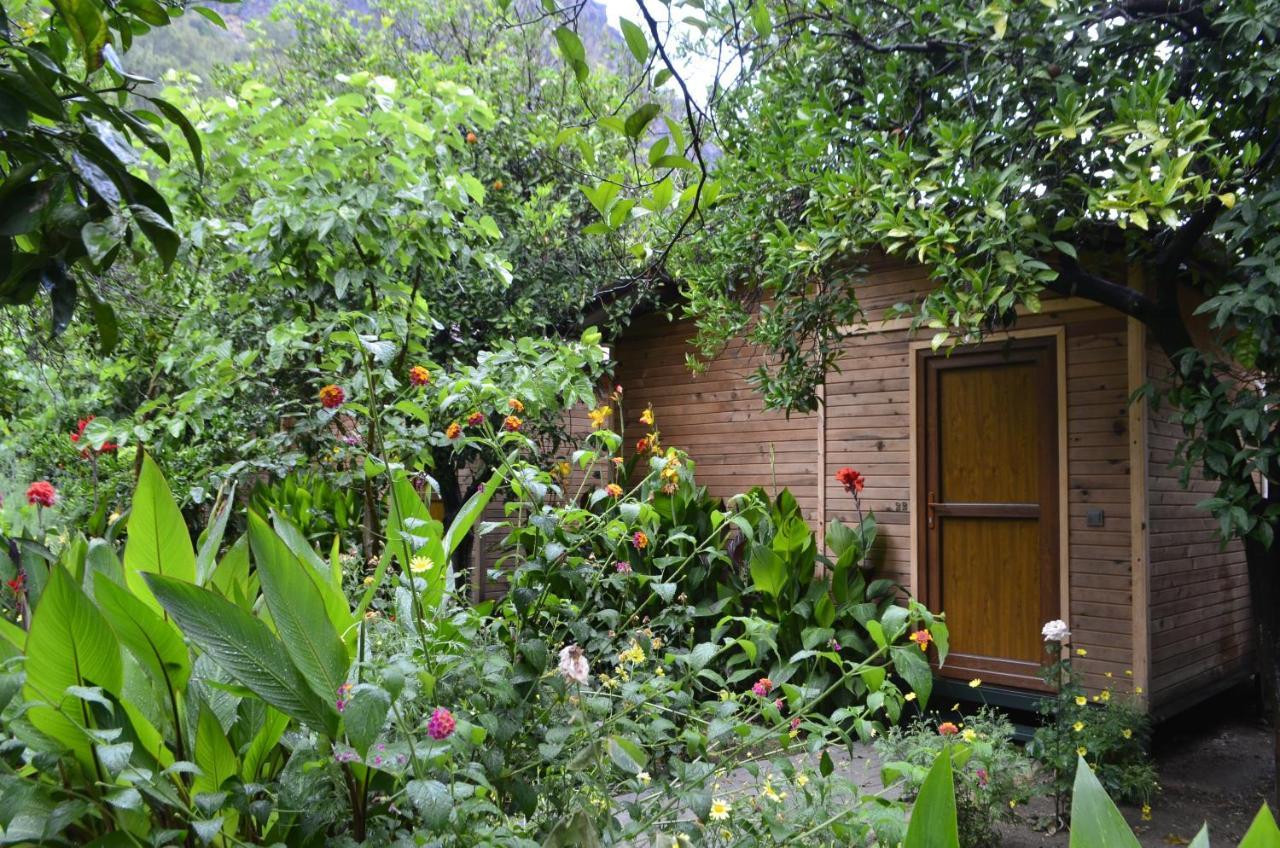 Mercan Pension Olympos Exterior foto